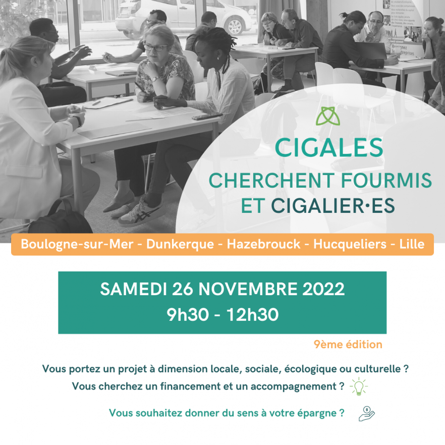 cigales hauts de france_26 nov 2022