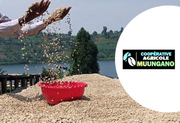 cooperative agricole muungano_financement solidaire sidi