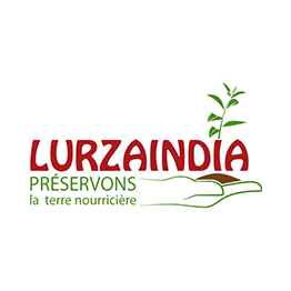 logo lurzaindia