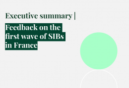 Feedback on the first wave of SIBs in France (Executive summary)