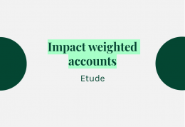 Etude | Les impact weighted accounts