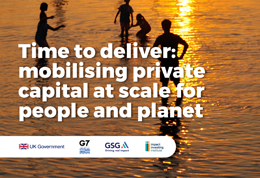 Time to deliver: mobilising private capital at scale for people and planet