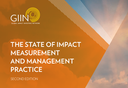 The State of Impact Measurement and Management Practice, Second Edition