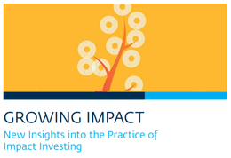 Growing Impact: New Insights into the Practice of Impact Investing