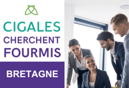 CIGALES cherchent fourmis en Bretagne