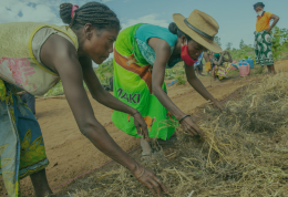 L’épargne solidaire : un levier pour la solidarité internationale en 2024