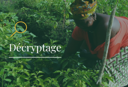 La finance solidaire soutient le développement agroécologique dans les pays du Sud