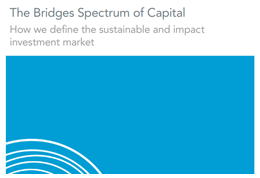 Bridges Spectrum of Capital