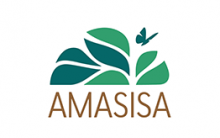 Amasisa